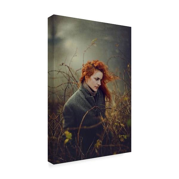 Elena Glasner 'Beauty Red Hair' Canvas Art,30x47